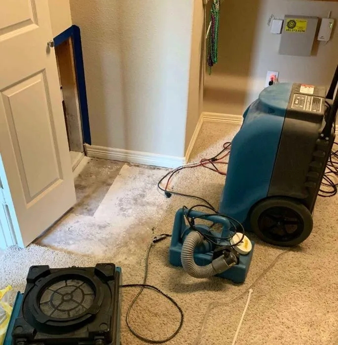 houston mold removal company Houston Mold Removal Company